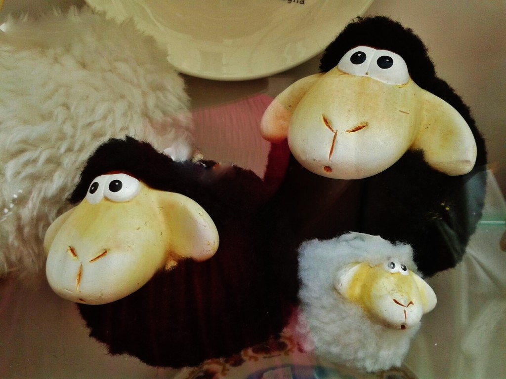 Foto: Mascota de la isla - Alghero (Sardinia), Italia