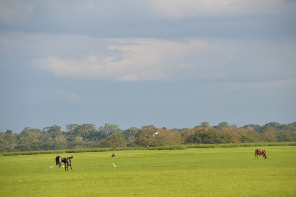Foto de Alajuela, Costa Rica