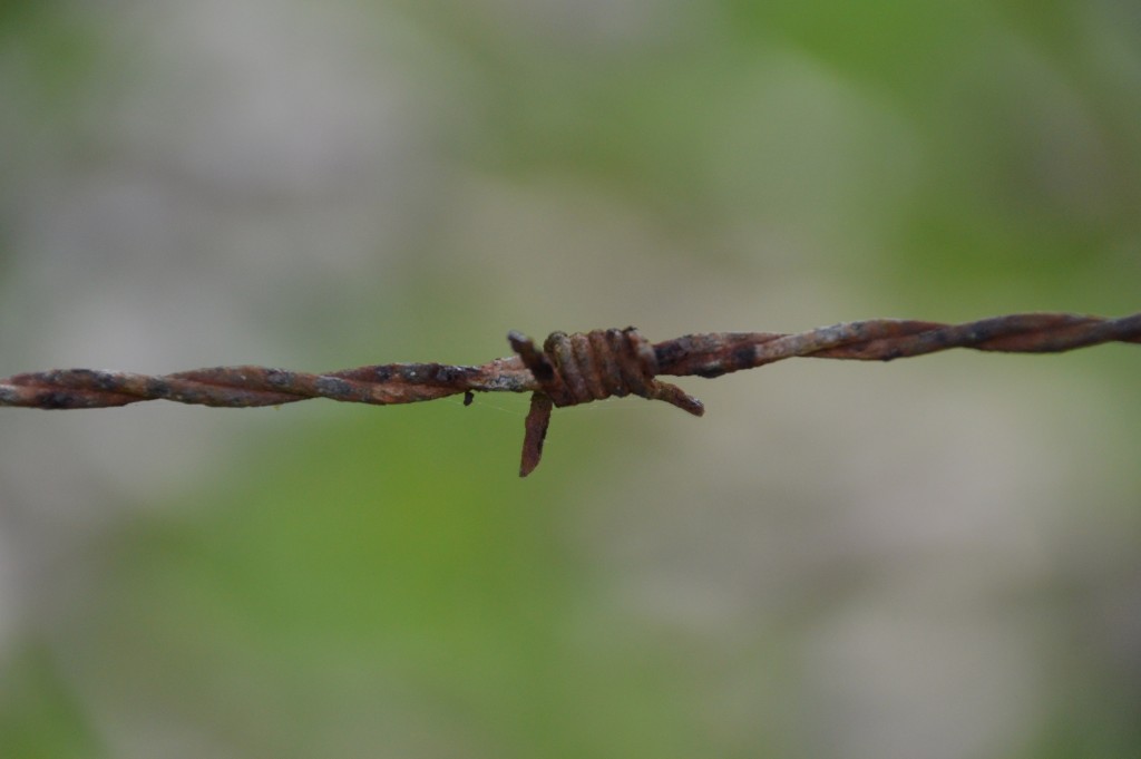 Foto de Caño Negro (Alajuela), Costa Rica