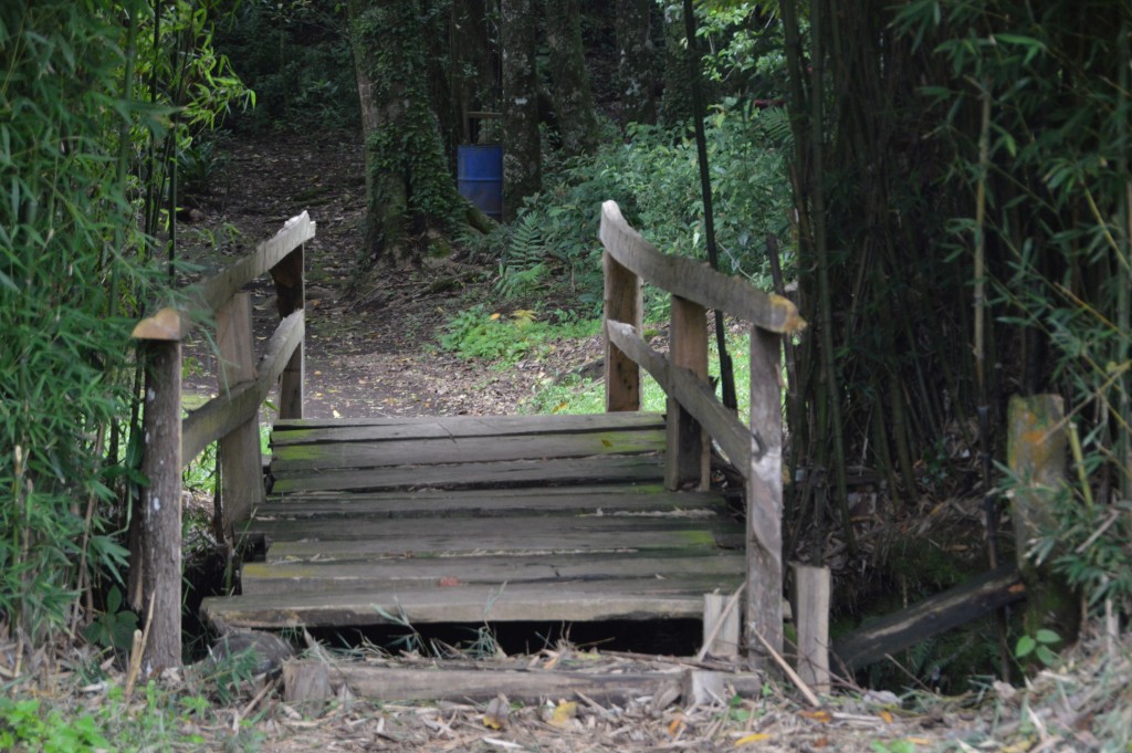 Foto de Fraijanes (Alajuela), Costa Rica