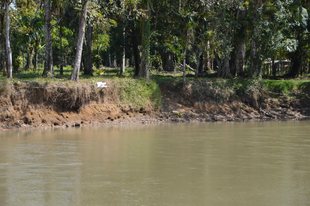 Foto de Alajuela, Costa Rica