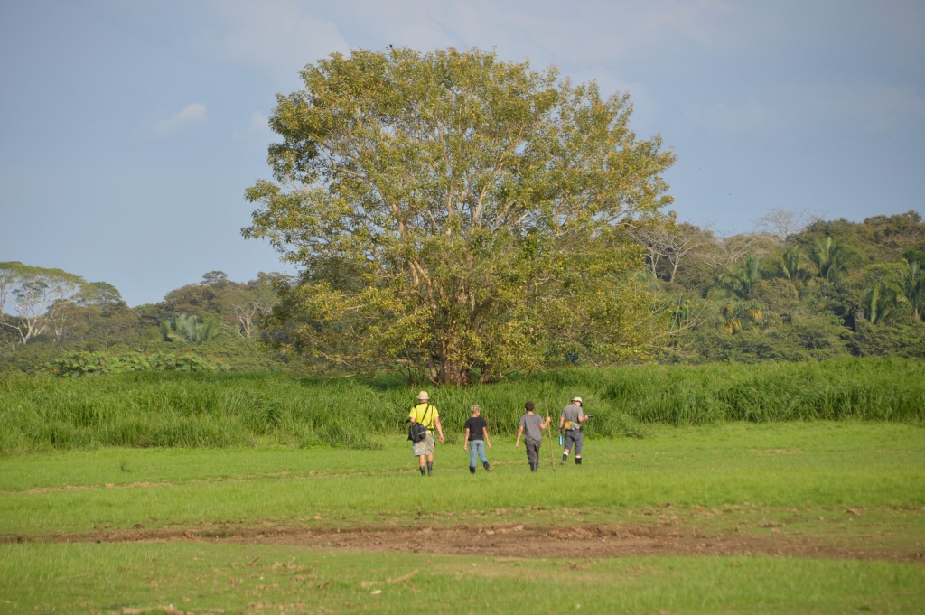 Foto de Alajuela, Costa Rica