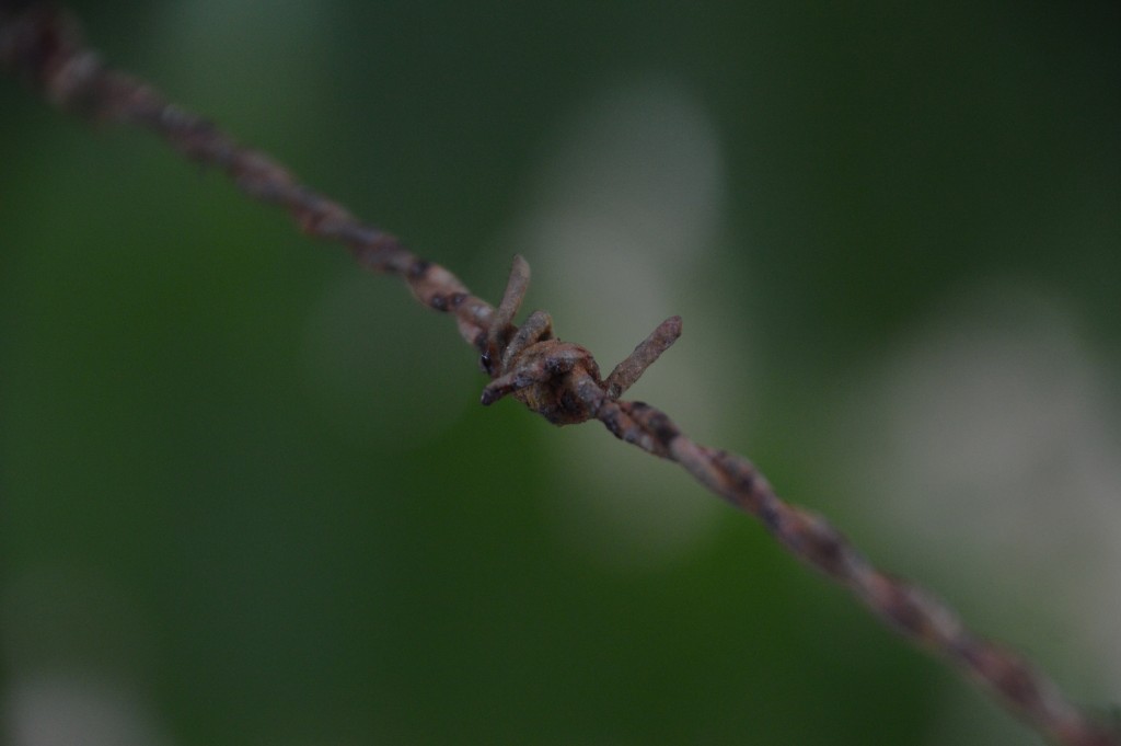 Foto de Caño Negro (Alajuela), Costa Rica