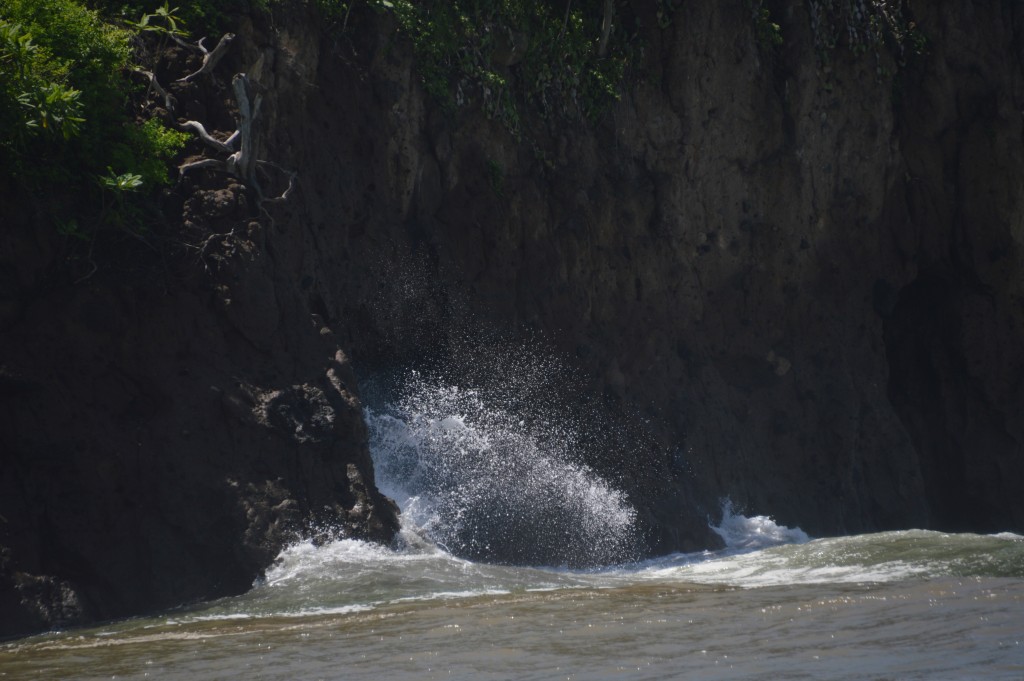 Foto de Tivives (Puntarenas), Costa Rica