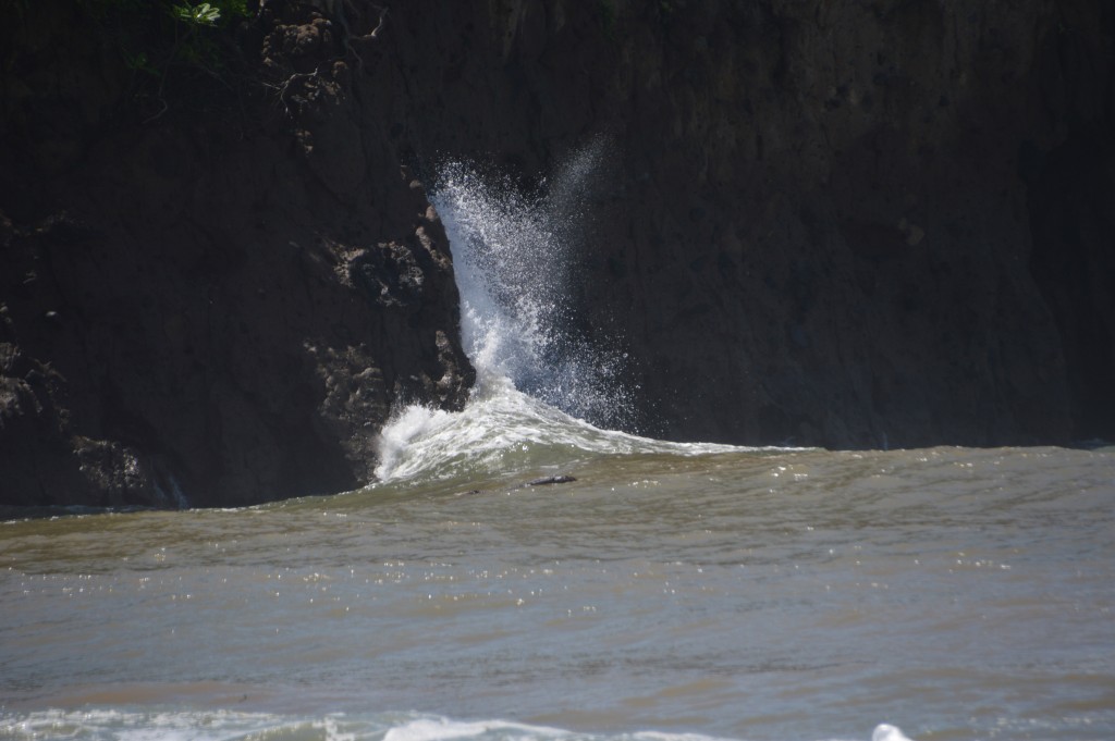 Foto de Tivives (Puntarenas), Costa Rica