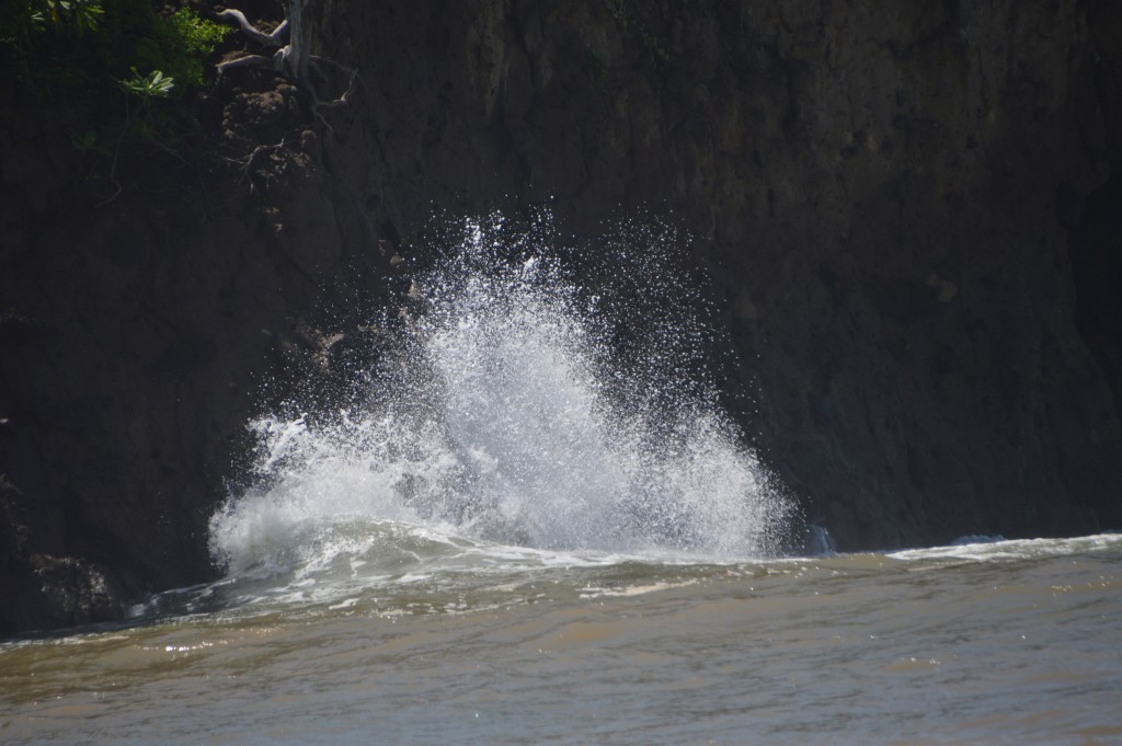 Foto de Tivives (Puntarenas), Costa Rica