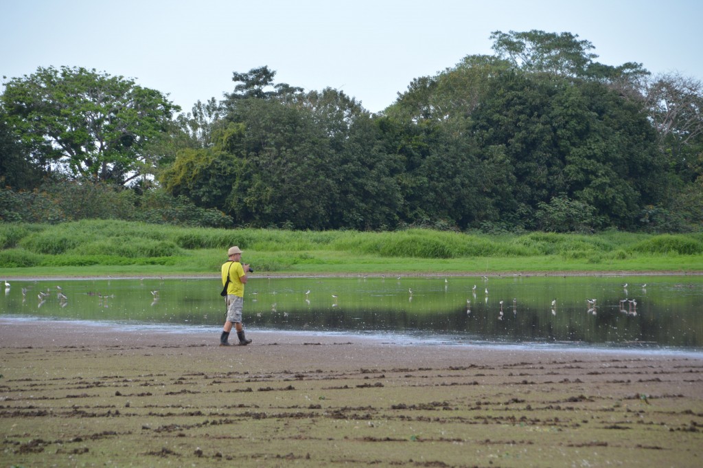 Foto de Tivives (Alajuela), Costa Rica