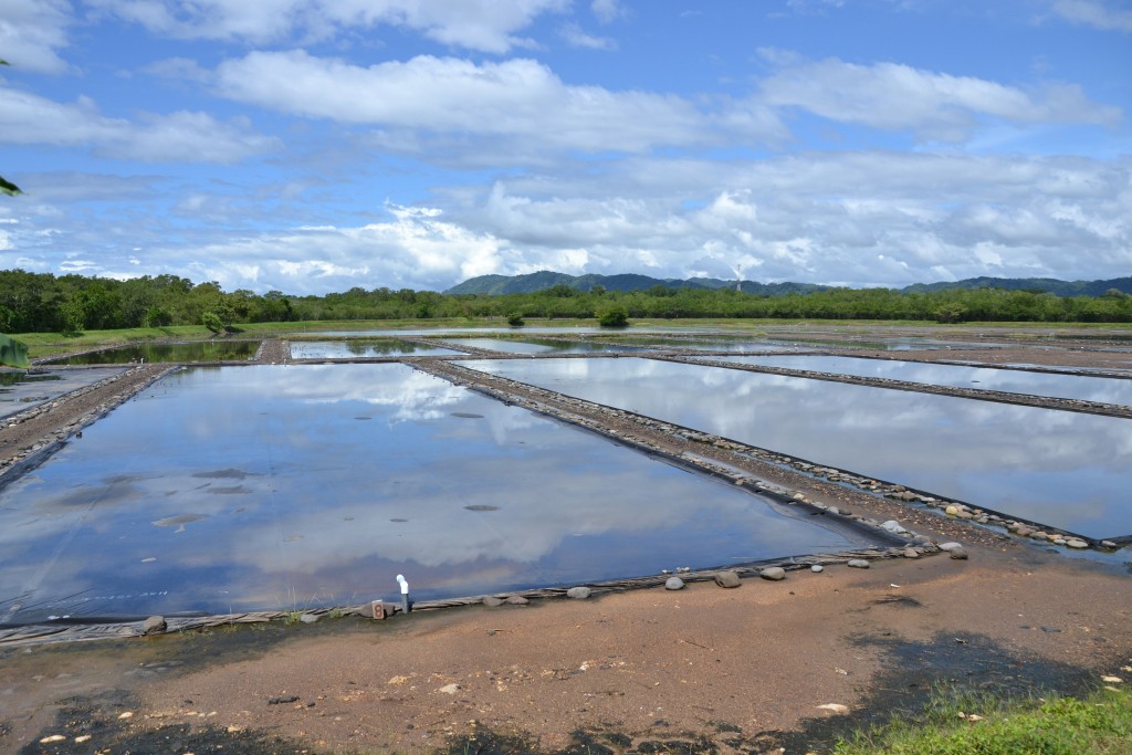 Foto de Tivives (Alajuela), Costa Rica
