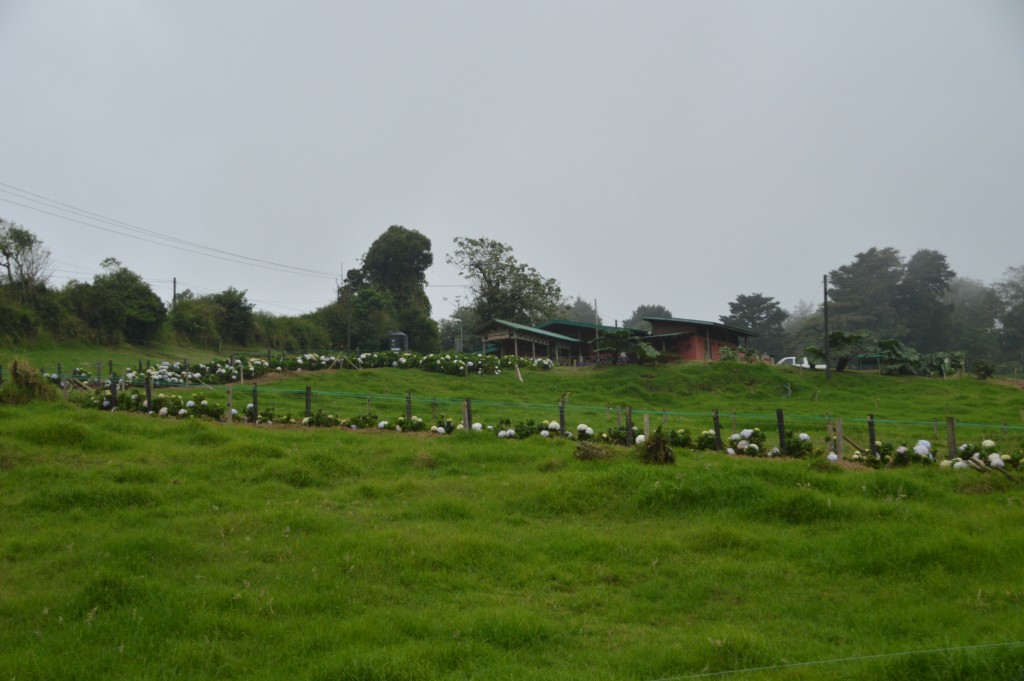 Foto de Poasito (Alajuela), Costa Rica
