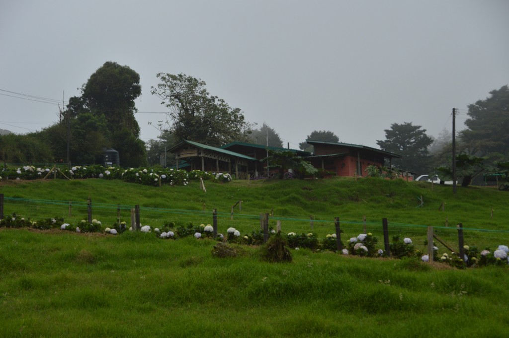 Foto de Poasito (Alajuela), Costa Rica