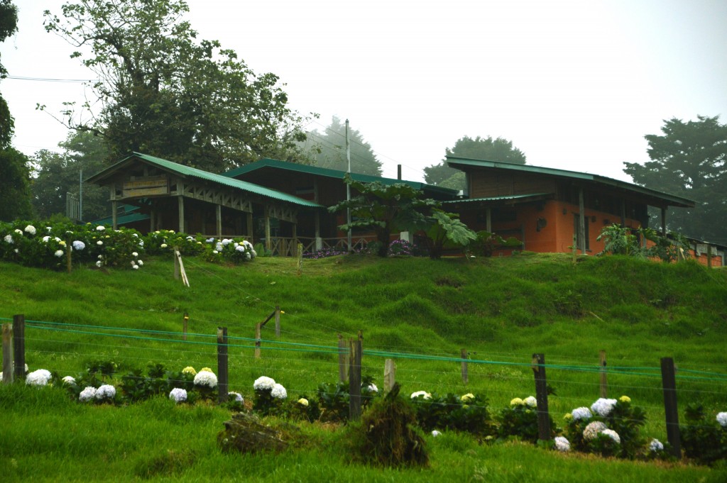 Foto de Poasito (Alajuela), Costa Rica