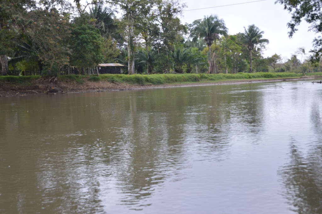 Foto de Tivives (Puntarenas), Costa Rica