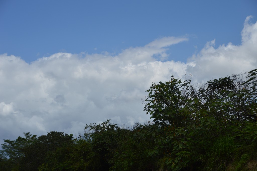 Foto de Tivives (Puntarenas), Costa Rica