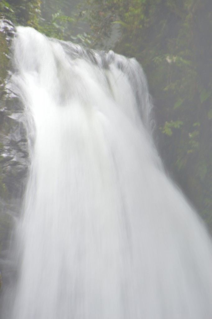 Foto de Alajuela, Costa Rica