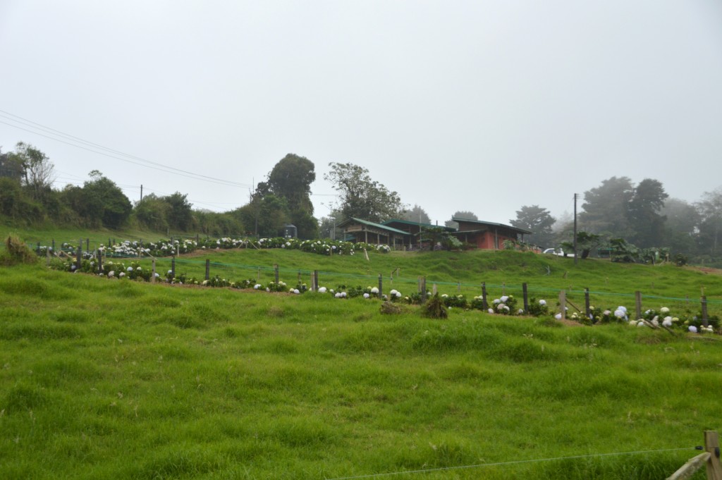 Foto de Poasito (Alajuela), Costa Rica