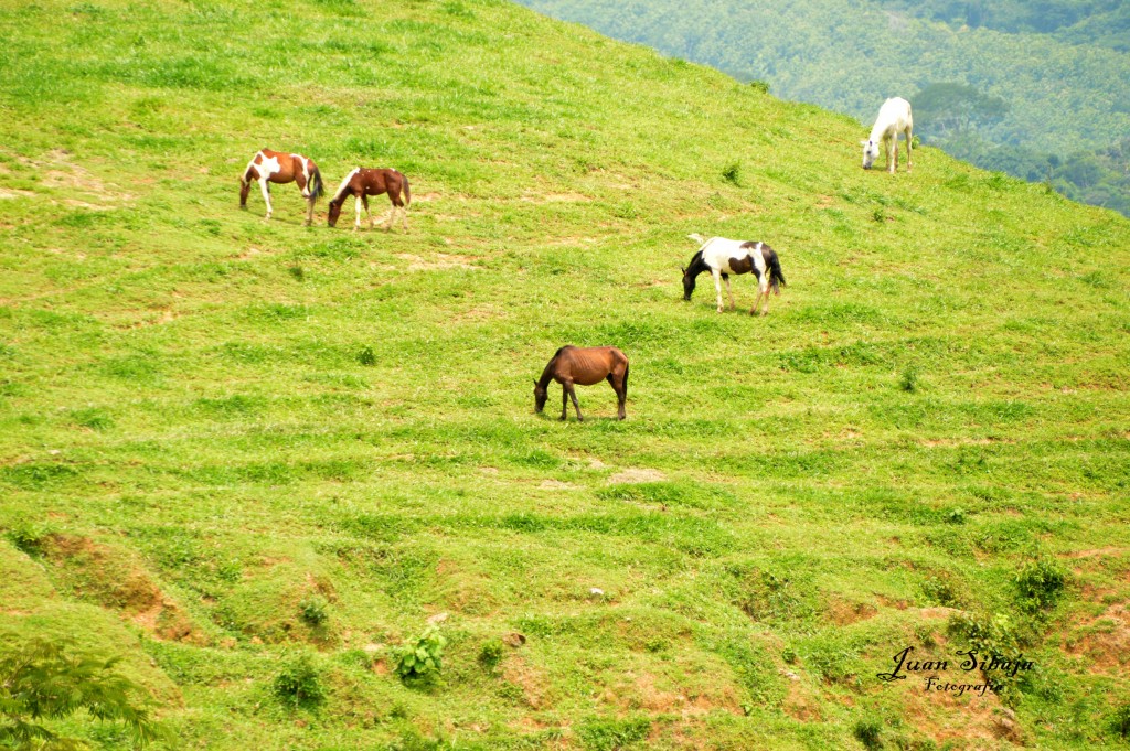 Foto de Atenas (Alajuela), Costa Rica