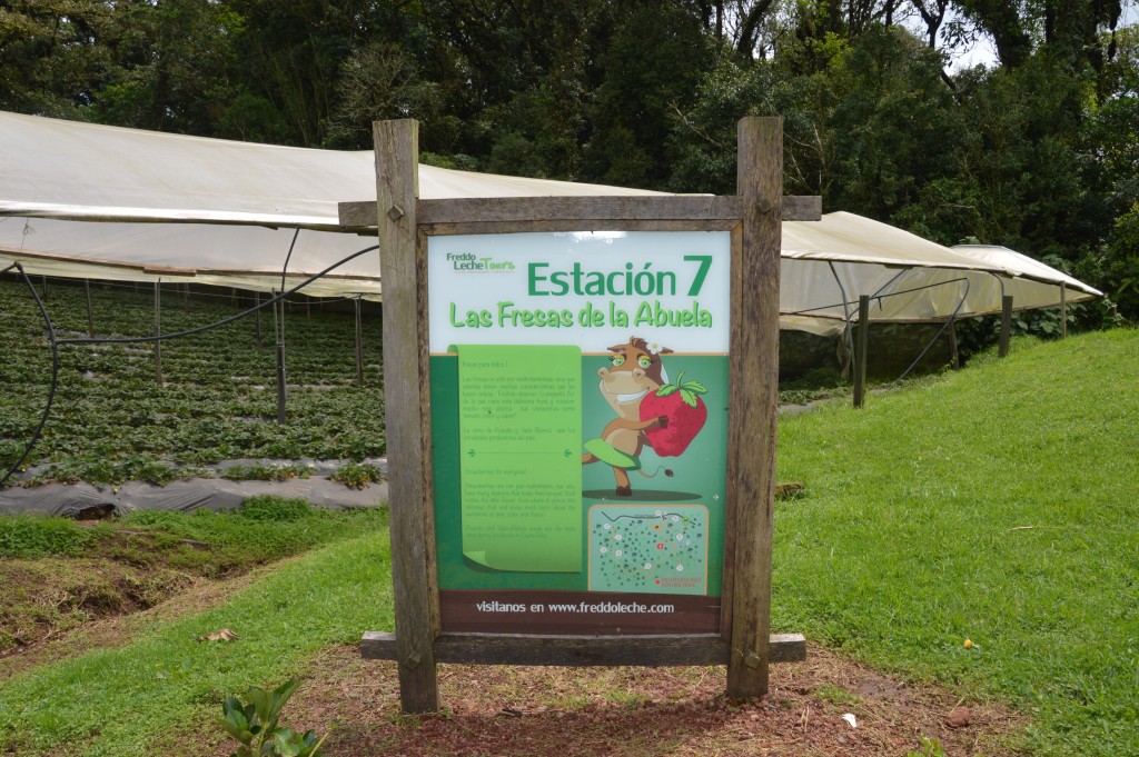 Foto de Alajuela, Costa Rica