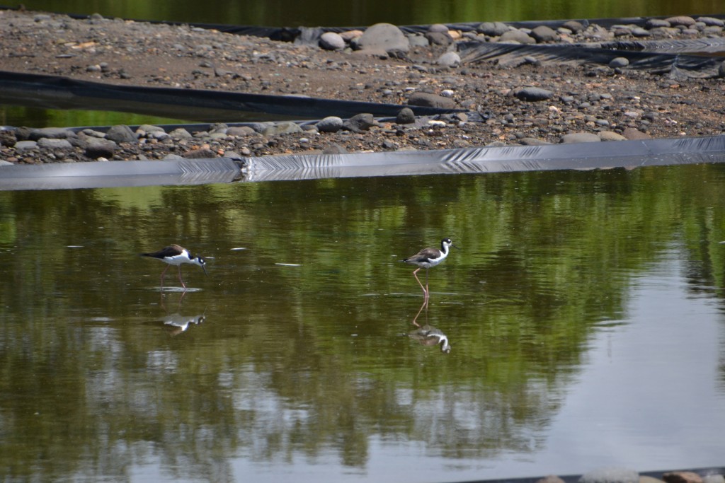 Foto de Puntarenas, Costa Rica