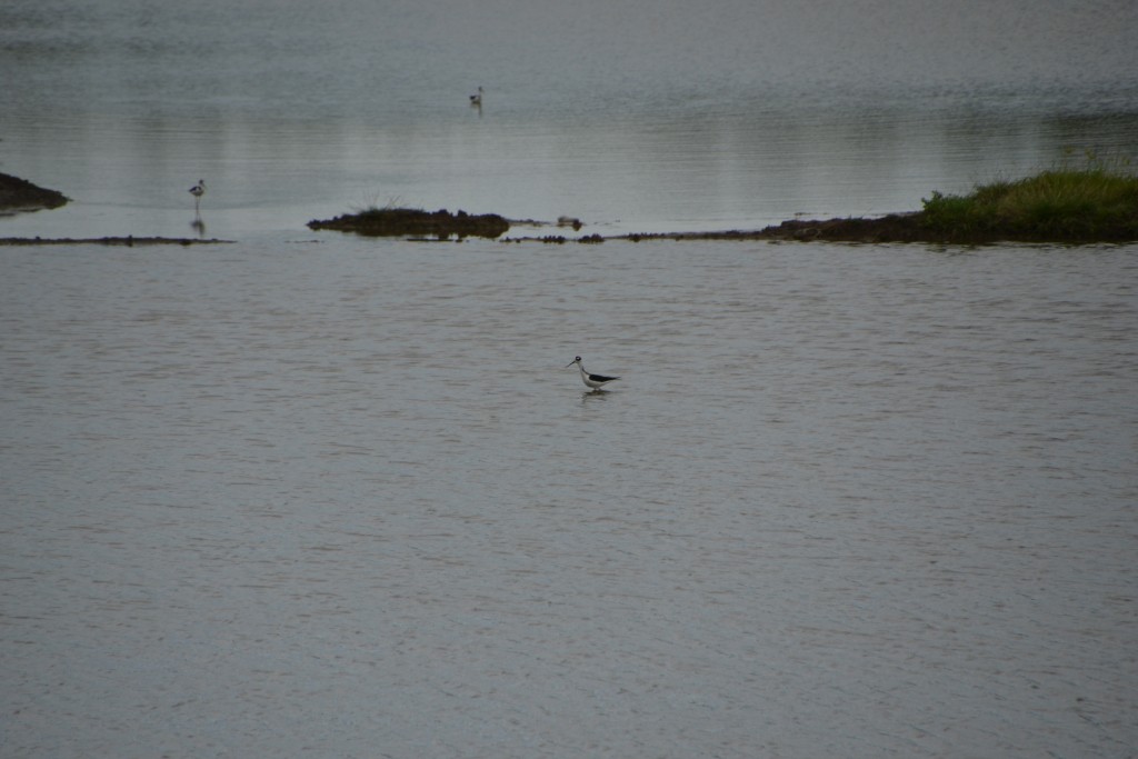 Foto de Puntarenas, Costa Rica