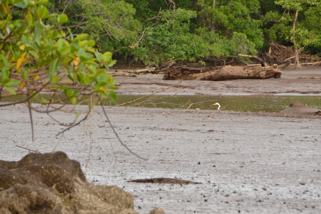 Foto de Puntarenas, Costa Rica