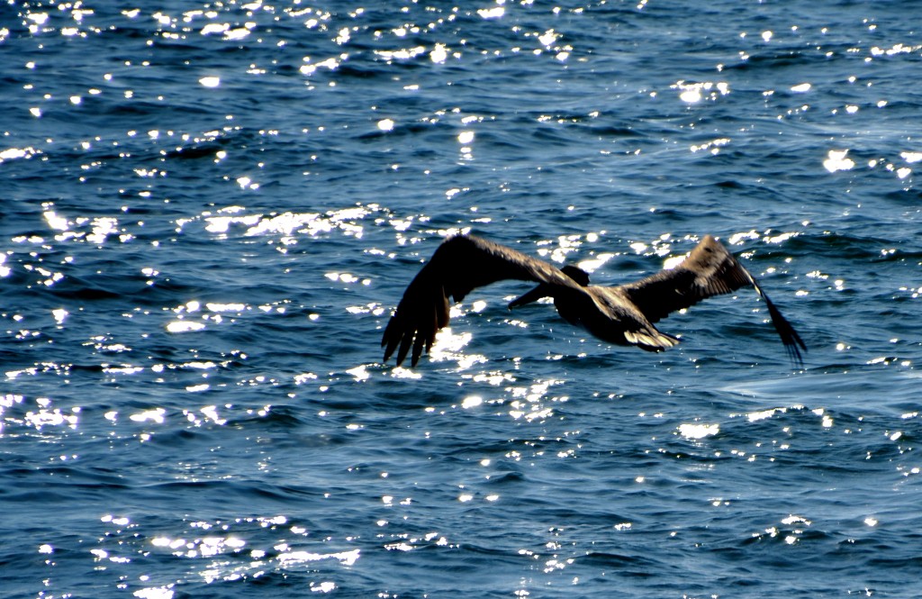 Foto de Puntarenas, Costa Rica