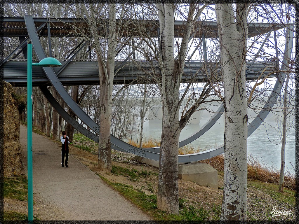 Foto: 150115-17 NIEBLA ZARAGOZANA - Zaragoza (Aragón), España