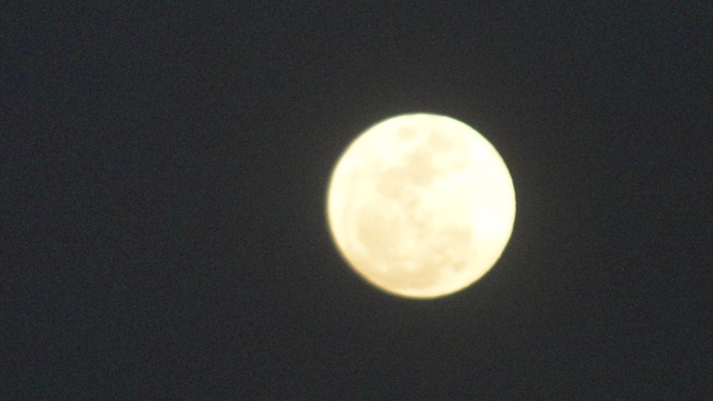 Foto de Puerto Soley (Guanacaste), Costa Rica