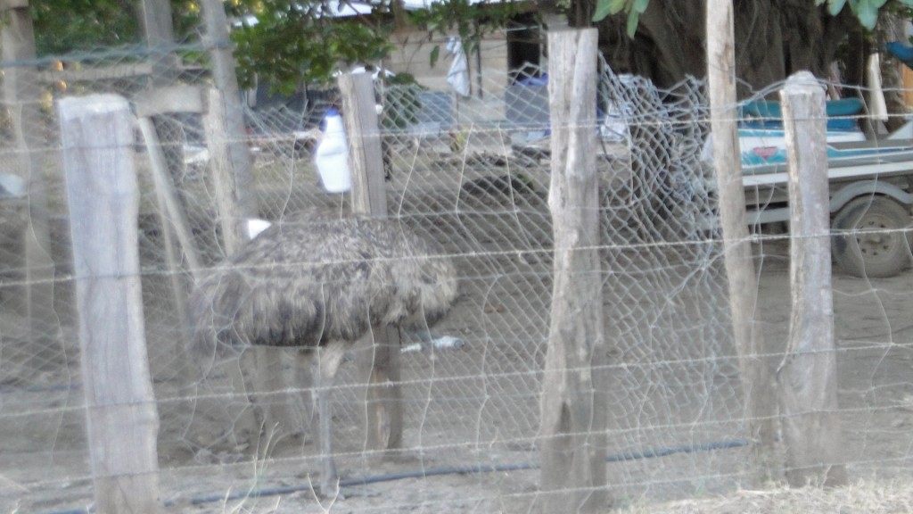 Foto de Puerto Soley (Guanacaste), Costa Rica