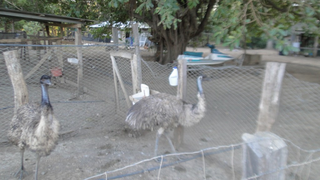 Foto de Puerto Soley (Guanacaste), Costa Rica