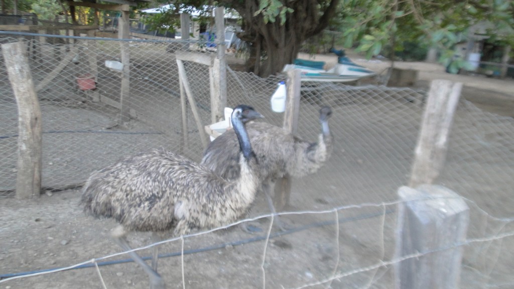 Foto de Puerto Soley (Guanacaste), Costa Rica