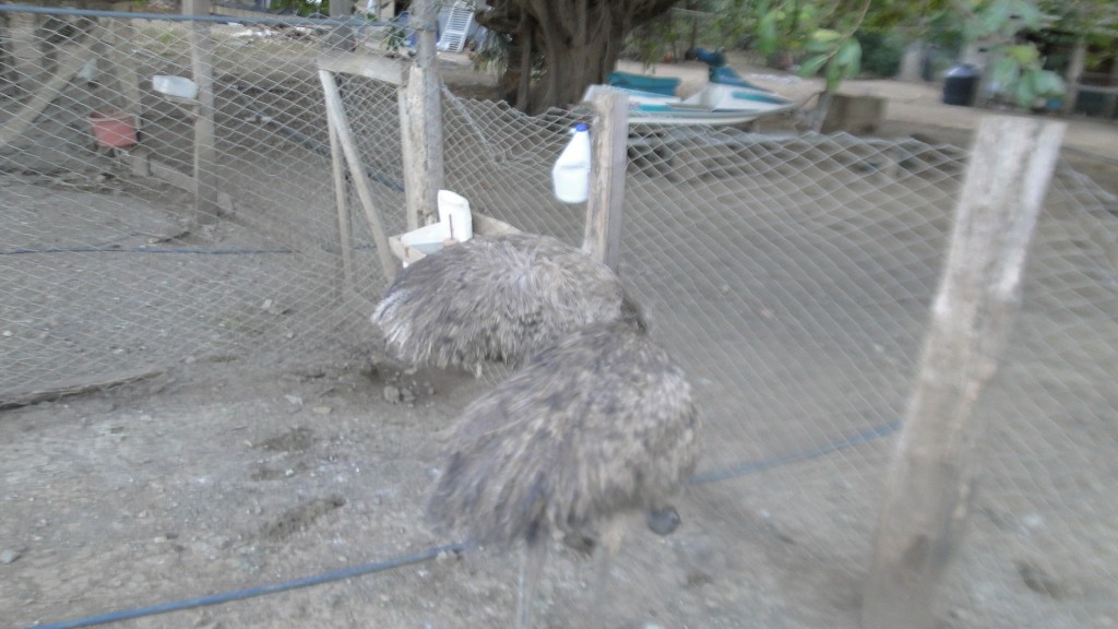 Foto de Puerto Soley (Guanacaste), Costa Rica