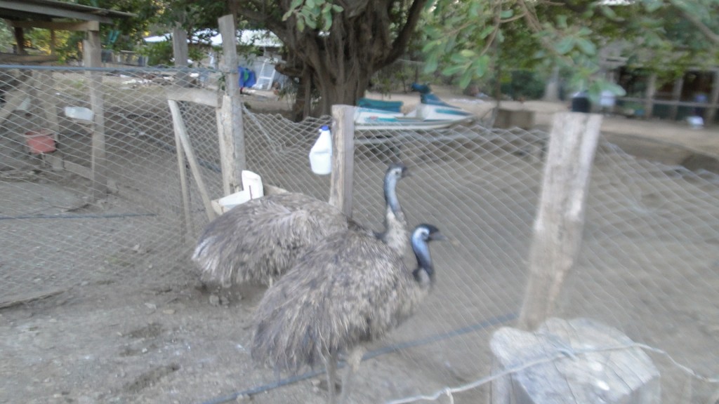 Foto de Puerto Soley (Guanacaste), Costa Rica