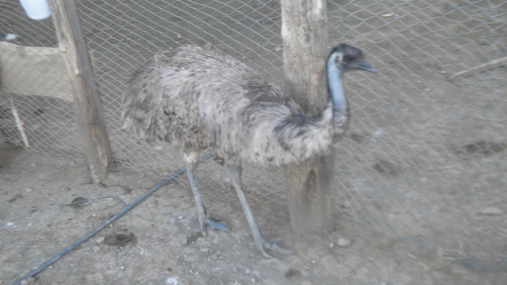 Foto de Puerto Soley (Guanacaste), Costa Rica