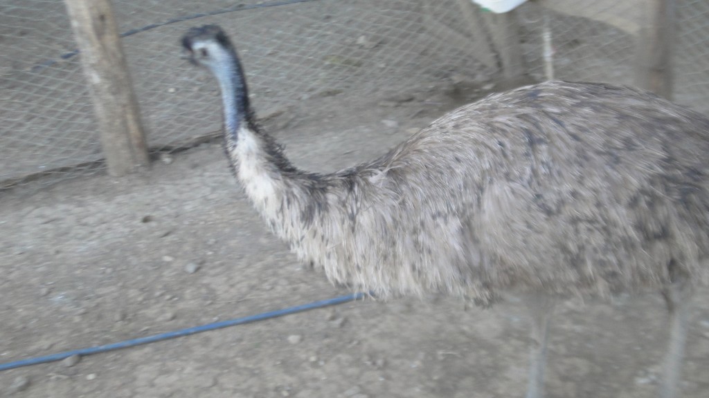 Foto de Puerto Soley (Guanacaste), Costa Rica