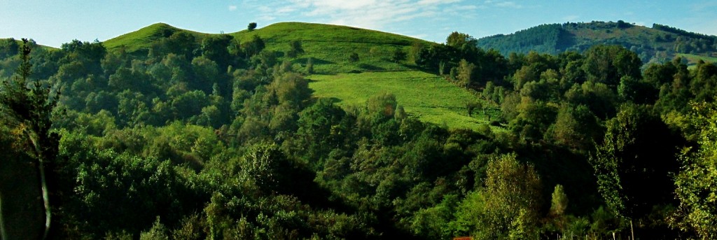 Foto: Paisaje - Zarautz (Gipuzkoa), España