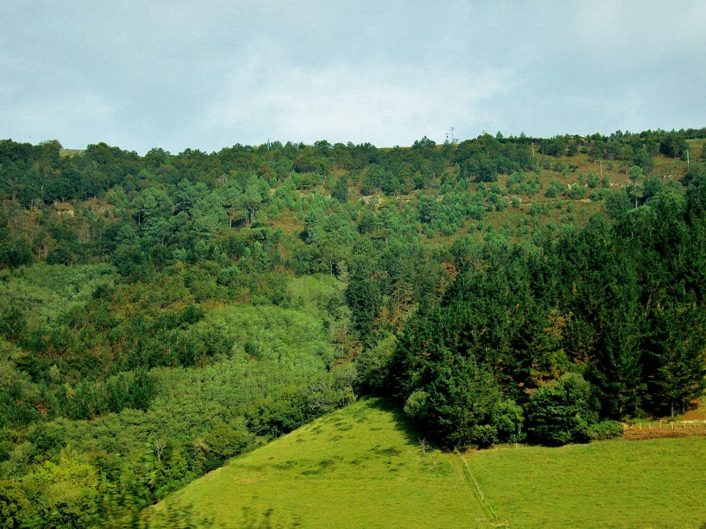 Foto: Paisaje - Zarautz (Gipuzkoa), España