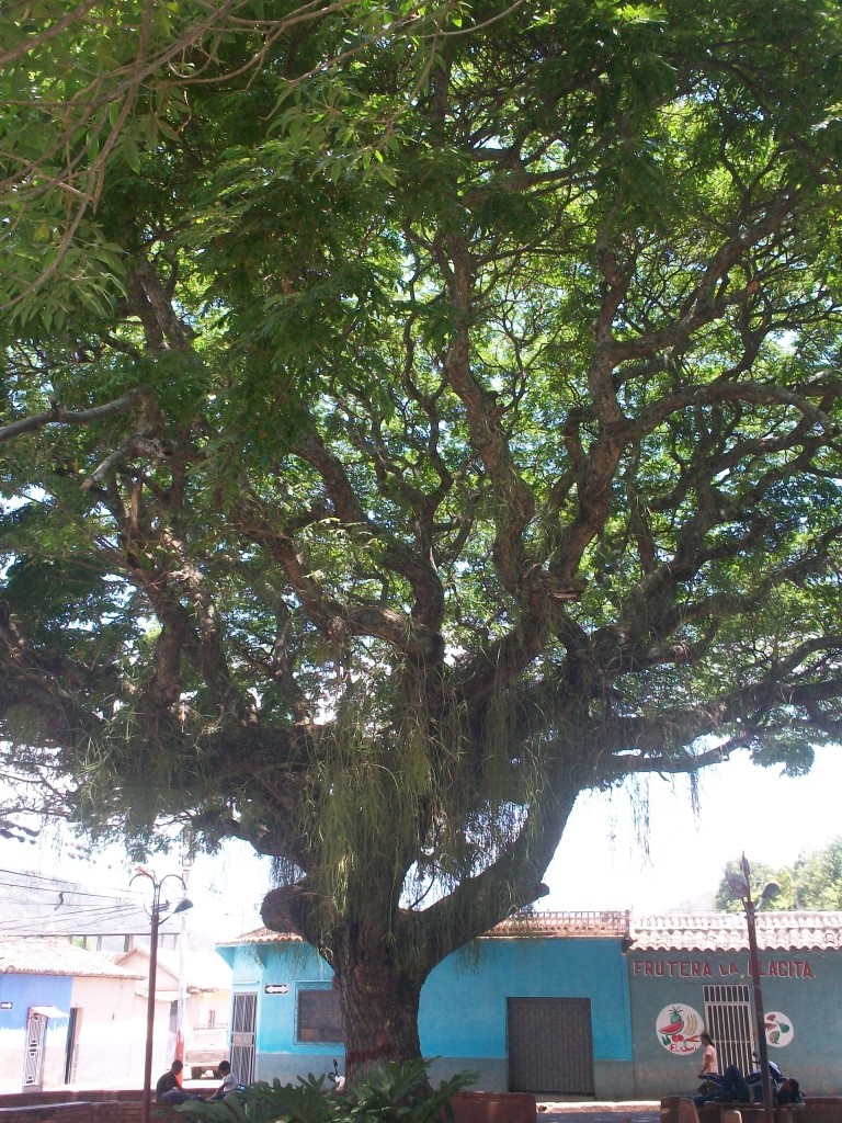 Foto de Carache (Trujillo), Venezuela