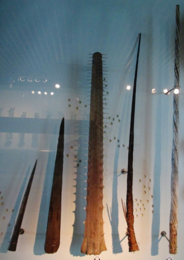 Foto: Acuario - San Sebastián (Donostia) (Gipuzkoa), España