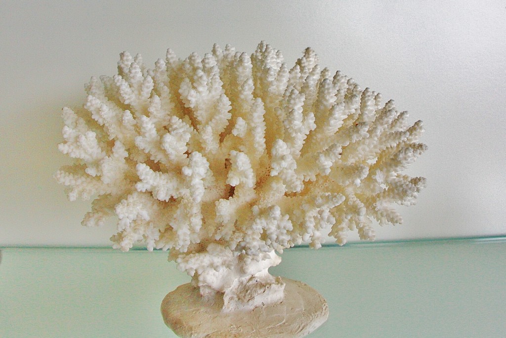 Foto: Acuario - San Sebastián (Donostia) (Gipuzkoa), España