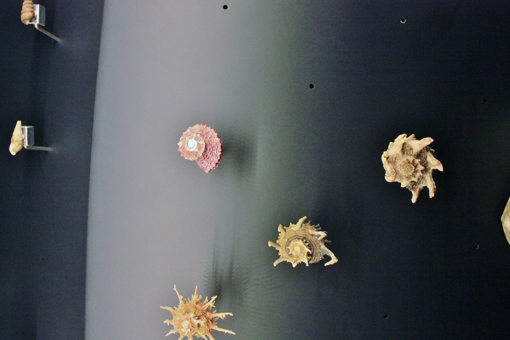 Foto: Acuario - San Sebastián (Donostia) (Gipuzkoa), España