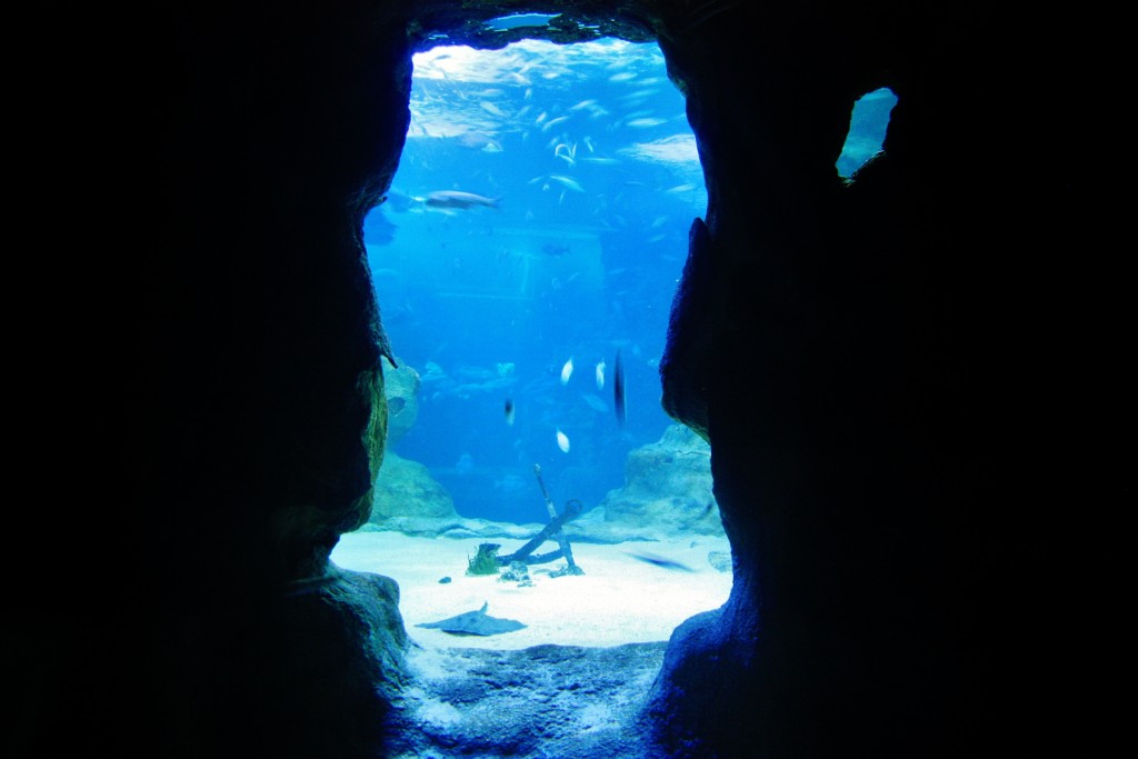 Foto: Acuario - San Sebastián (Donostia) (Gipuzkoa), España