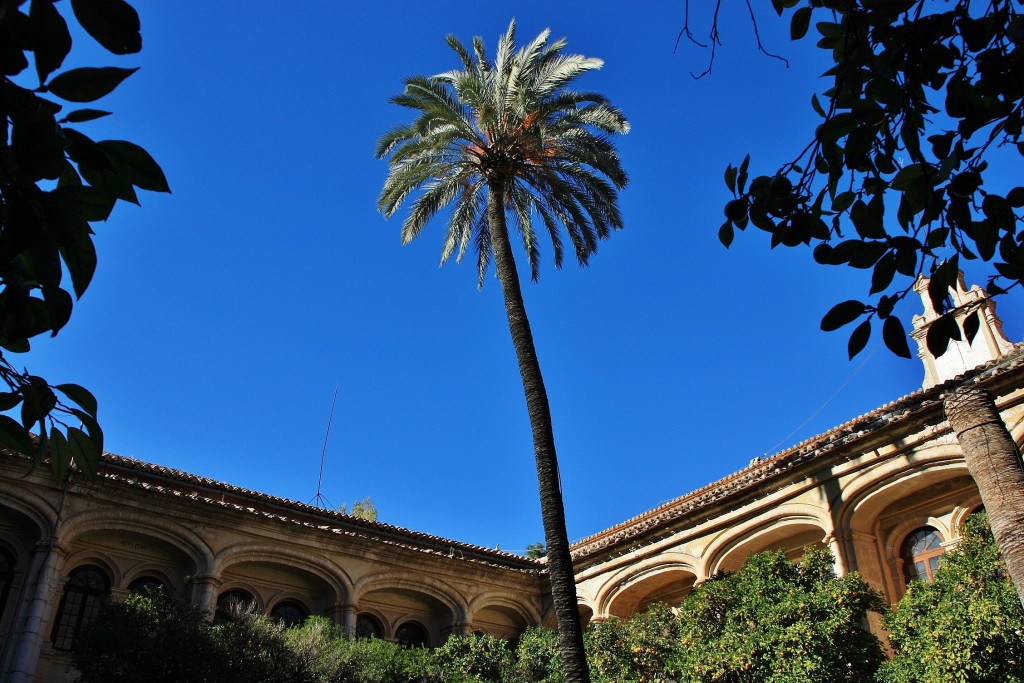 Foto: Monasterio de Sant Jeroni de Cotalba - Alfauir (València), España