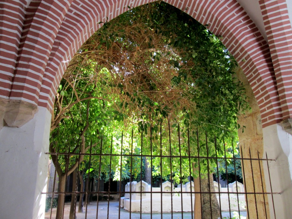 Foto: Monasterio de Sant Jeroni de Cotalba - Alfauir (València), España