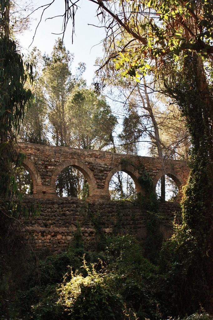 Foto: Monasterio de Sant Jeroni de Cotalba - Alfauir (València), España