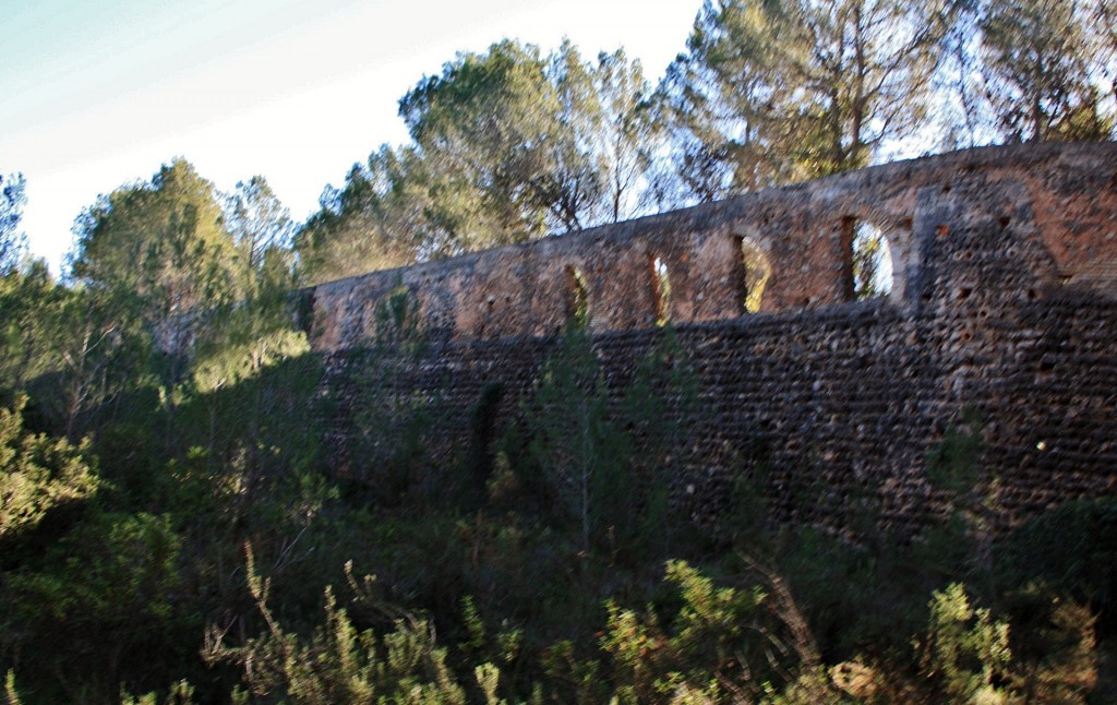 Foto: Monasterio de Sant Jeroni de Cotalba - Alfauir (València), España