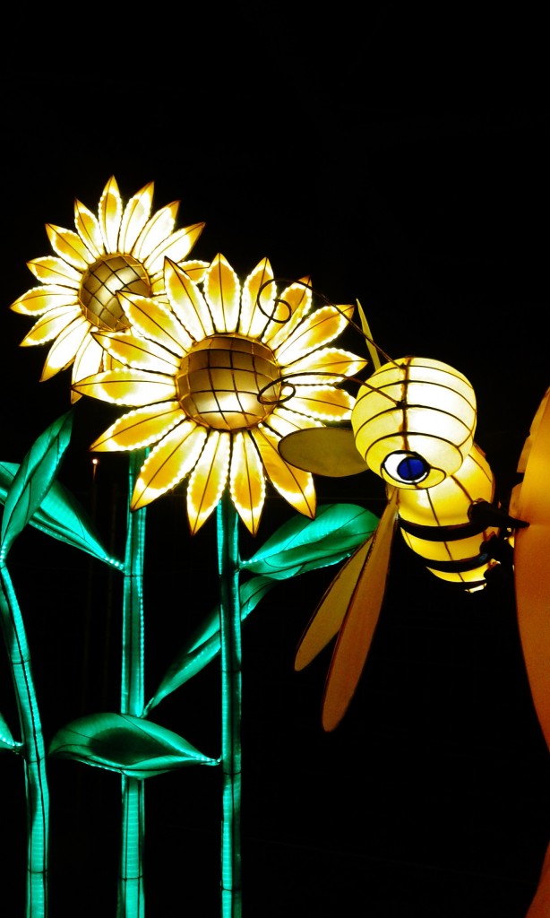 Foto: Festival de faroles chinos - Barcelona (Cataluña), España