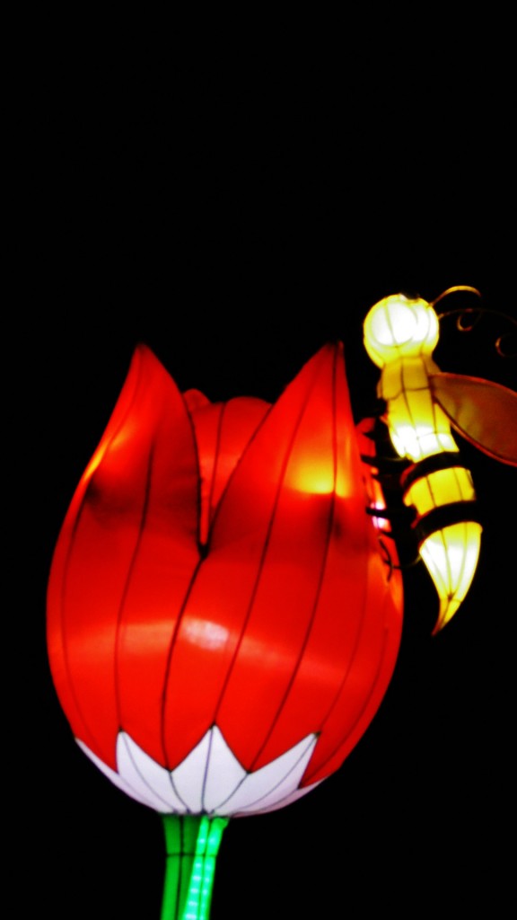 Foto: Festival de faroles chinos - Barcelona (Cataluña), España