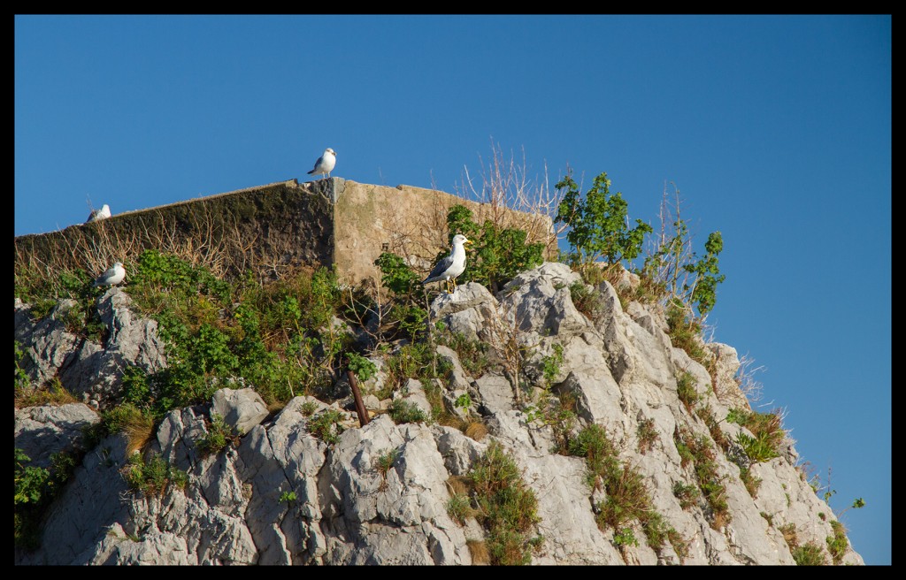 Foto de Castrourdiales (Cantabria), España