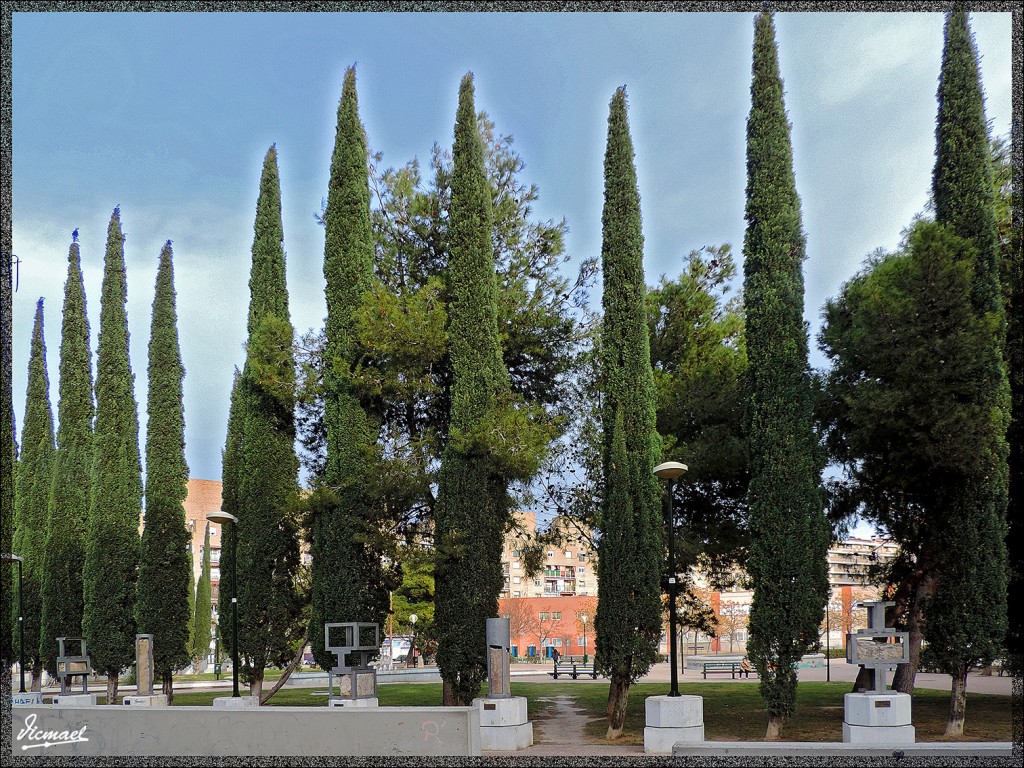 Foto: 150129-21 ZARAGOZA PL MAYOR - Zaragoza (Aragón), España