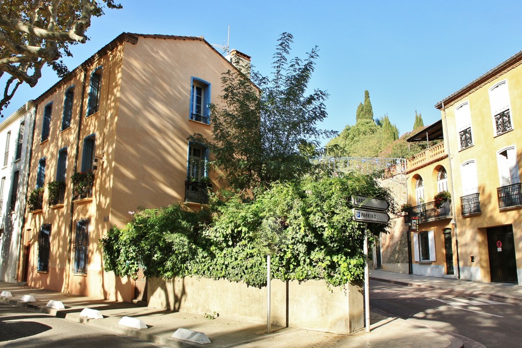Foto: Centro histórico - Colliure (Languedoc-Roussillon), Francia